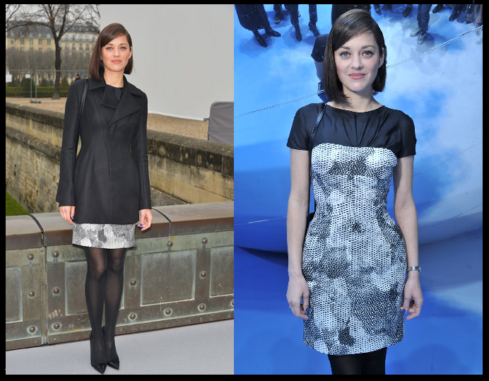 Marion Cottilard in Christian Dior